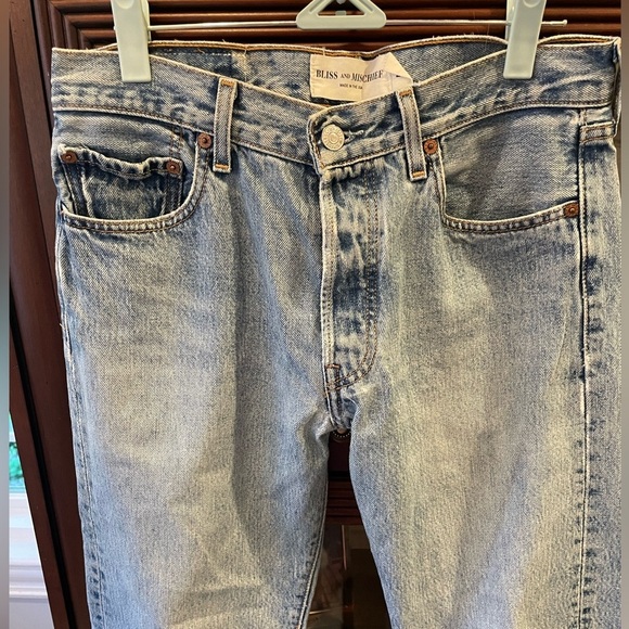 Bliss and Mischief Repurposed Embroidered Levi’s Jeans - Picture 9 of 16